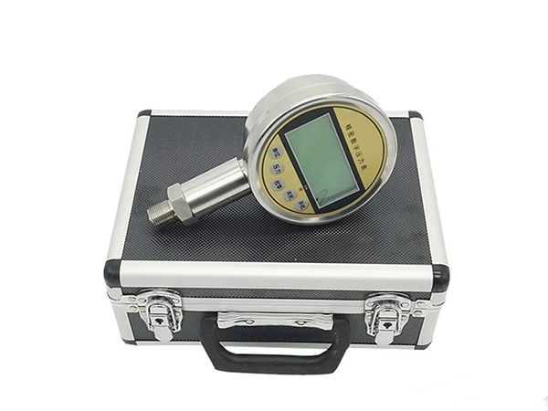 精密數(shù)字壓力表